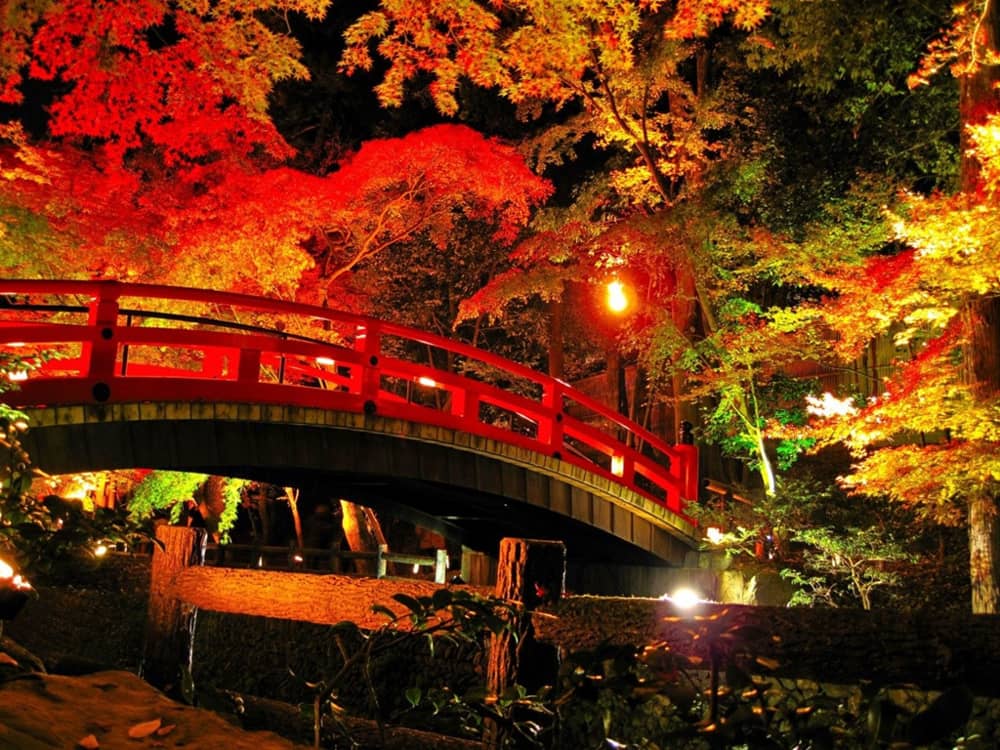 Điểm ngắm lá đỏ Kyoto